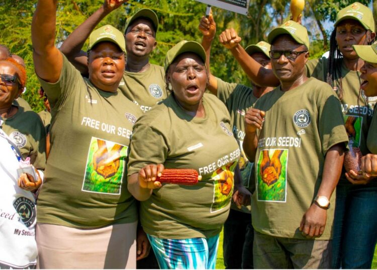 Viljelijät juhlivat Gilgilin kaupungissa Keniassa sen jälkeen, kun tuomioistuimen päätös poisti alkuperäisten siementen jakamisen kriminalisoinnin