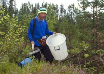 Thaimaalainen marjanpoimija Jaran Boonbarhoc mustikassa Valtimon Rumolla heinäkuussa. Kansanedustaja Eila Tiainen vaatii, että marjanpoimijat on jatkossa otettava työsuhteeseen ja heille on taattava vähimmäispalkka.