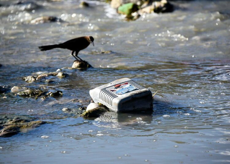 Joet kaikkialla maailmassa virtaavat meriin ja kuljettavat mukanaan muovia. Kuvassa San Francisco -joki.