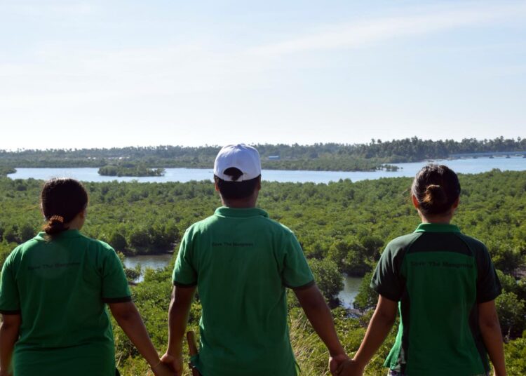 Mangroven istutukseen Myanmarin Shew Thaung Yanissa osallistuvat nuoret ihailevat työnsä tuloksia.