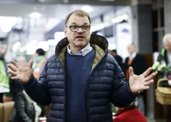 Pääministeri Juha Sipilä halusi ratkaista Suomen talousongelmia laittamalla ”taseen töihin” eli myymällä valtion osakeomaisuutta. Uusien bisnesten vetäjäksi perustettiin valtion kehitysyhtiö Vake Oy joulukuussa 2016.