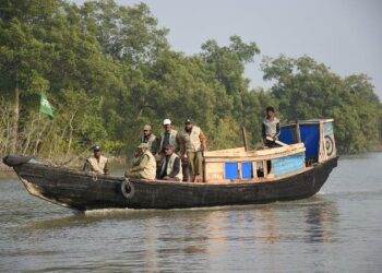 Delfiinien suojelutiimi partioi suojelualueella Sundarbansin mangrovemetsää halkovalla joella.