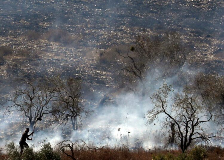 Palestiinalaiset yrittivät lokakuussa sammuttaa oliivipuulehtoaan, jonka läheisen Israelin siirtokunnan asukkaat olivat sytyttäneet.