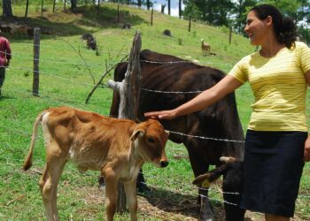 Nicaragualainen Josefina Rodríguez kuuluu maata omistavien naisten vähemmistöön.