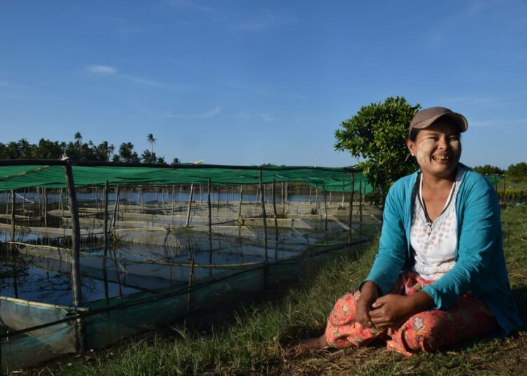 Thein Thein Sein on mukana Shwe Thaung Yanin naisten perustamassa osuuskunnassa, joka kasvattaa simpukoita.