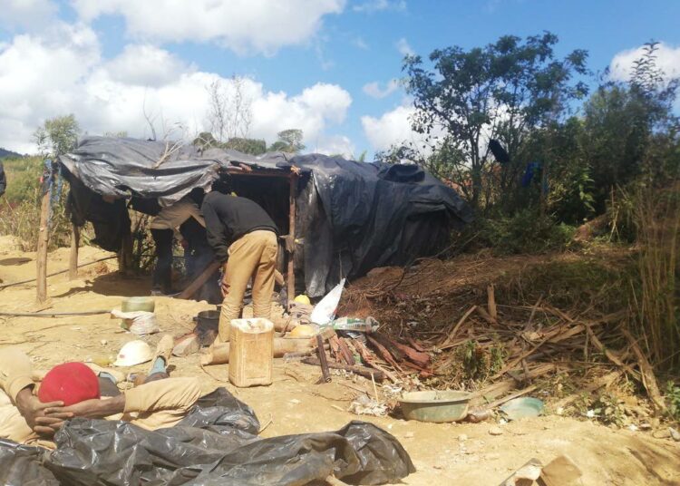 Zimbabwen jatkuva talouskriisi ja naisten korkea työttömyys ovat saaneet monet alaikäiset tytöt ryhtymään seksityöhön Penhalongan kaivosalueella.