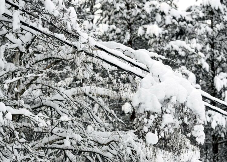 Carunan mukaan sähkönjakelun säävarmuuden parantaminen on yhteiskunnan ja suomalaisen kilpailukyvyn kannalta välttämätöntä.