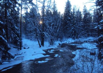 Järvien jääpeitteet tulevat selvästi myöhemmin kuin 20 vuotta sitten ja lähtevät aiemmin. Samaan aikaan jään laatu muuttunut, sillä teräsjäätä on vähemmän.