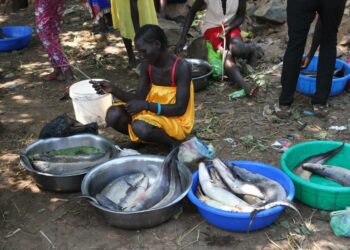 Barojoesta pyydettyä kalaa myydään torilla Gambellassa, joka sijaitsee Länsi-Etiopiassa lähellä Etelä-Sudanin rajaa.