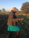 Mariyeti Mpala on muuttanut entisen kaatopaikan kasvitarhaksi. Hän myy osan tuotteistaan halvalla naisille, jotka saavat omia ansioita myymällä niitä edelleen torilla.