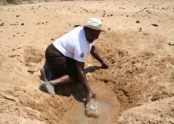 Ilmastonmuutos vaikuttaa naisiin rajummin kuin miehiin, varsinkin köyhissä maissa. Jos veden vähyys vaivaa, naisten taakkaa kasvattaa sekin, että juuri he yleensä noutavat veden hyvinkin pitkien matkojen päästä.