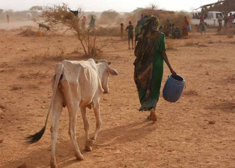 YK:n ruokaohjelma WFP on varoittanut, että maailmaa uhkaa koronan ja nälän kaksoispandemia. Nälkä, konfliktit ja muuttoliike on saatava hallintaan, jotta voidaan välttää maailmanlaajuinen ruokakriisi, WFP sanoo.