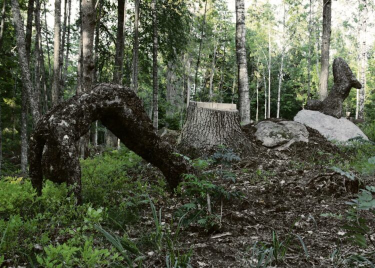 Hakkuuaukiolle jäljelle jääneissä puissa ihmispolot rimpuilevat tai tanssivat.