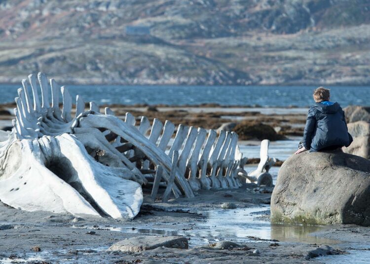 Leviathanissa kuvataan Barentsinmeren karunkauniita rantamaisemia.