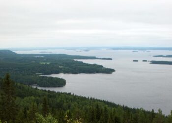 Kirjoittajan mukaan maisemakokemus on pitkälti opitun tunnistamista. Näkymä Kolin huipulta.