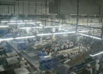 Automaatio uhkaa teollisuuden työpaikkoja kehitysmaissa. Kuva yövuorosta tonnikalatehtaassa Mauritiuksen Port Luisissa.