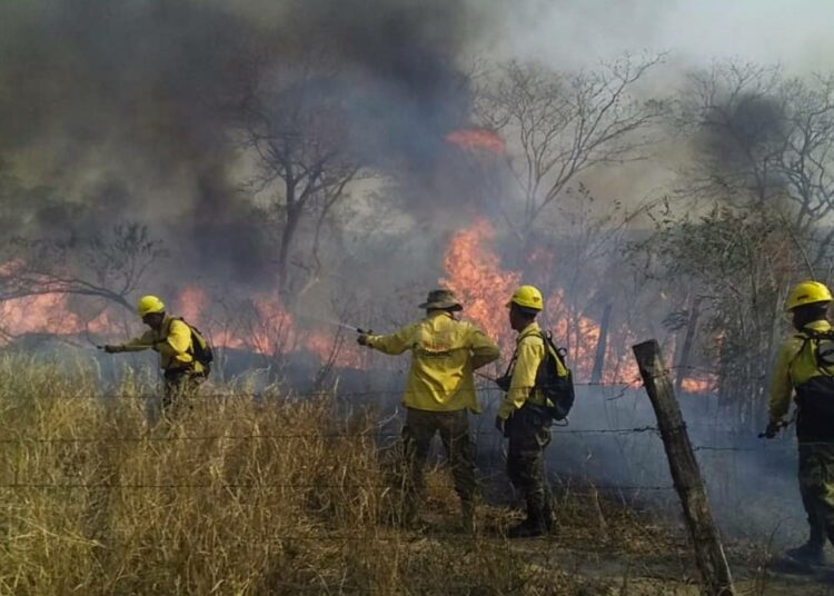 Metsäpaloja yritettiin sammuttaa viime viikolla Roboressa, Santa Cruzin osavaltiossa Bolivian itäosassa.