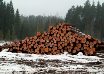 Suomen metsistä kaadetaan puusta päätyy saha-, vaneri- ja levyteollisuuden vientiin viidesosa eli noin 9,2 miljoonaa kuutiometriä