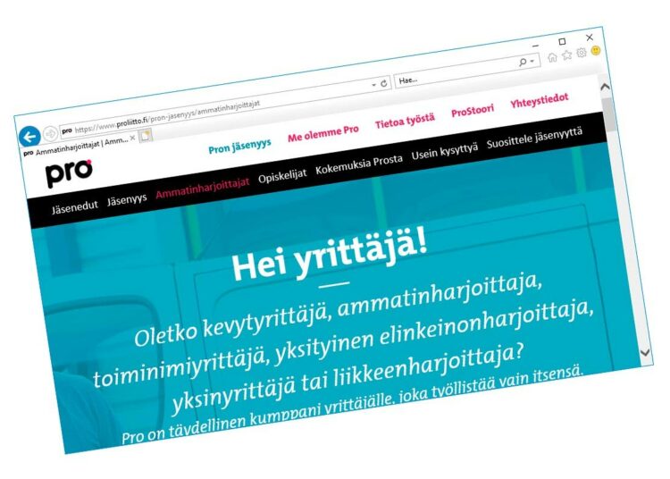 Pro Ammatinharjoittajat tukee kevytyrittäjiä tai itsensä työllistäviä.