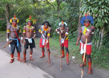 Ryhmä Amazonin sademetsässä asuvia kayapó-intiaaneja esitteli perinteitään alkuperäiskansojen kokoontumisessa, joka järjestettiin Rio de Janeirossa vuonna 2012 Rio+20 -huippukokouksen rinnalla.