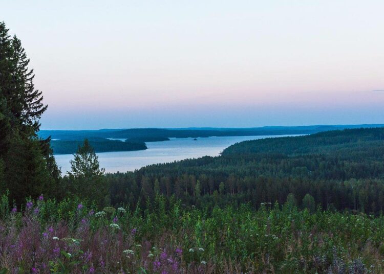 Brittiläisen Beowulf Miningin kaivoshanke Heinävedelle on kohdannut tiukkaa vastustusta.