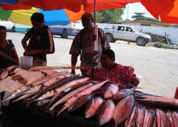 Tyynenmeren saarivaltioiden asukkaat ovat riippuvaisia rannikkokalastuksesta, joka tuo heille ravintoa ja elinkeinoja. Kuva Papua-Uuden-Guinean Port Moresbyn kalatorilta.