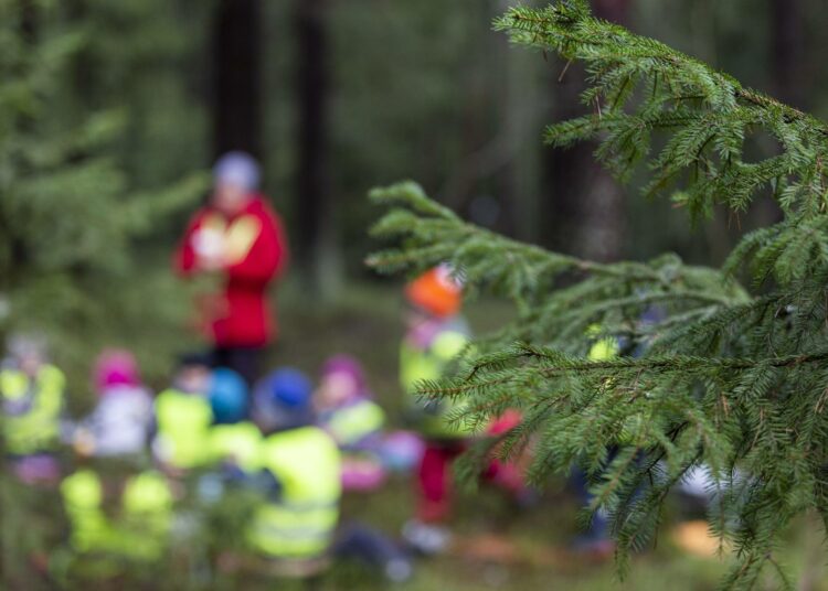 Psykologian professori Lea Pulkkisen mukaan lapsia koskeva tutkittu tieto ei näy päätöksenteossa.