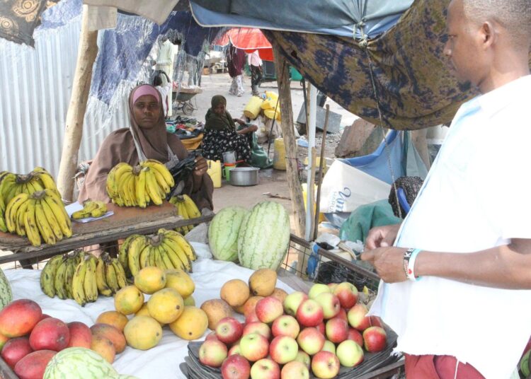 Torikauppias Hawa Hussein Farah myy hedelmiä Suuq Mugdin ulkoilmatorilla Garissassa. Äärimmäinen kuumuus pakottaa hänet sulkemaan kojunsa jopa neljä tuntia tavallista aikaisemmin, mikä leikkaa suoraan hänen tulojaan.
