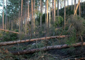 Tuhoarvio perustuu metsäkeskusten yhteistyössä muiden metsäalan toimijoiden kanssa tekemään tuhokartoitukseen.