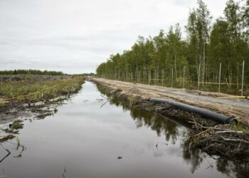 Hanhikiven ydinvoimalaa suunnitellaan näihin maisemiin Pyhäjoelle.