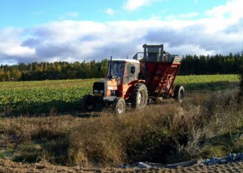 Pelloilta ravinteet eivät lähde matkalle kohti merta niinkään kasvukautena vaan sen ulkopuolella. Ilmaston lämpeneminen voi edelleen pahentaa tilannetta, kun maa ei enää jäädy entiseen tapaan ja talvisateet lisääntyvät.