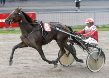 Chancy Roberto