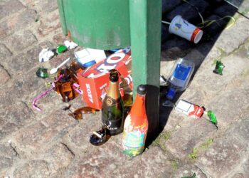 Kujato käy roskien kimppuun vapun jälkeen.