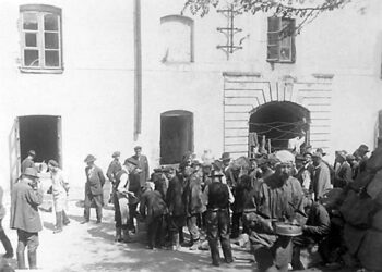 Suomenlinnan vankileiri oli toiseksi suurin sisällissodan seurauksena Suomeen perustetuista vankileireistä. Pahimmillaan Suomenlinnan sotavankileirillä oli 8 000 vankia.