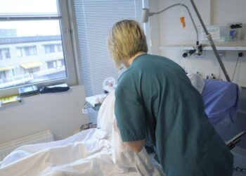 Naisten palkka päätoimesta oli keskimäärin 25 247 euroa/henkilö ja miesten palkka päätoimesta 33 311 euroa/henkilö.