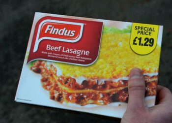 Findusin lasagne tuli hetkessä tunnetuksi.