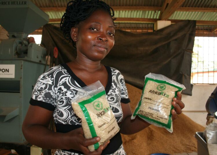 AfricaRicen tutkimusapulainen Blance Soussous esittelee laitoksen jalostamaa riisiä, joka on pakattu esikypsennettynä.