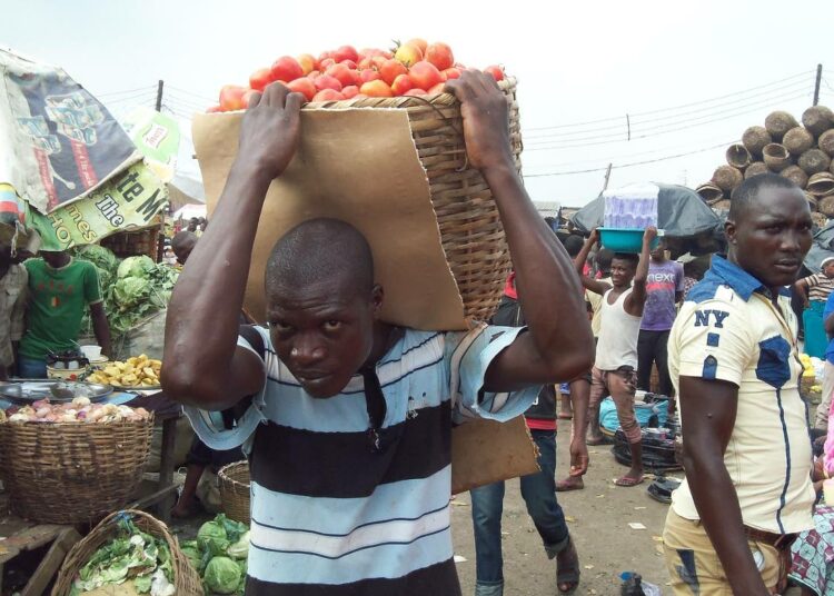 Nigeriassa on korkea nuorisotyöttömyys ja suuri tarve nuorille maatalouden harjoittajille. Jos maatalous houkuttelisi nuoria, Nigeria ratkaisisi sillä monta ongelmaa samalla kertaa