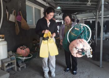 Chunsuk Son ja Myeongho Ko, äiti ja tytär molemmat kuuluvat Iho-dongin kylän erittäin taitaviin sukeltajiin. Pitkällä perinteellä on niukasti ylläpitäjiä, kylässä on vain kolmetoista sukeltajaa.