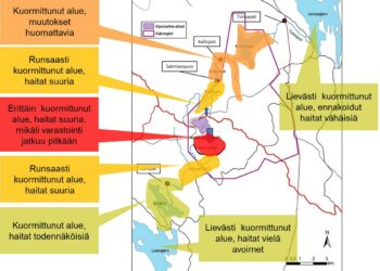 Suomen ympäristökeskuksen alustavat arviot kipsisakka-altaan vuodon ympäristövaikutuksista.