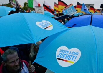 Äärioikeistolaisen Alternative für Deutschland -puolueen kannattajat ovat syksyllä osoittaneet mieltään Venäjälle asetettuja pakotteita vastaan. Heidän sloganinsa on "Oma maa ensin".