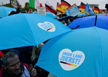 Äärioikeistolaisen Alternative für Deutschland -puolueen kannattajat ovat syksyllä osoittaneet mieltään Venäjälle asetettuja pakotteita vastaan. Heidän sloganinsa on "Oma maa ensin".