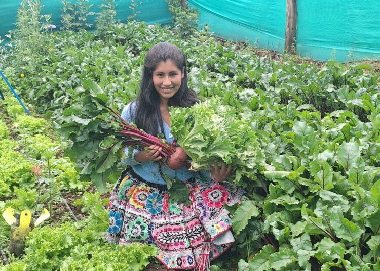 Perun Cuscon alueelta kotoisin oleva Ruth Flores on innokas ekologinen tuottaja. Hän vaatii viranomaisilta tukea tuotantomuodon kehittämiseksi. Kuvassa Flores työskentelee sadan neliömetrin kasvihuoneessaan.