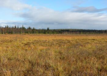 Tutkimustulokset perustuvat Savukosken Soklista kairattuun geologiseen näytesarjaan.