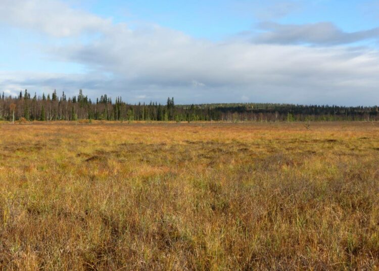 Tutkimustulokset perustuvat Savukosken Soklista kairattuun geologiseen näytesarjaan.