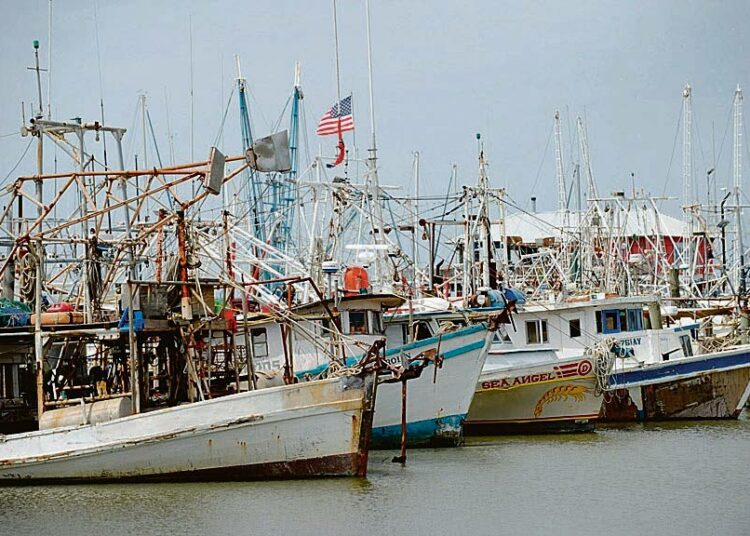 Eliöstön lisäksi kalastuselinkeino tekee kuolemaa Meksikonlahdella, kun öljy saastuttaa meren ja rannat.