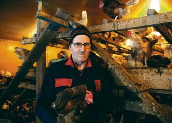 Jukka Sarkalan luomukanojen munat kuuluvat Tampereen yliopiston ylioppilaskunnan ruokapiirin suosikkeihin.