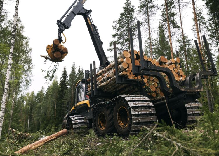 Metsänomistajilla olisi suojeluhaluja, mutta METSO-ohjelman rahoitus ei riitä. Sen sijaan hallitus kiihdyttää hakkuita tavalla, joka vähentää verotuloja.