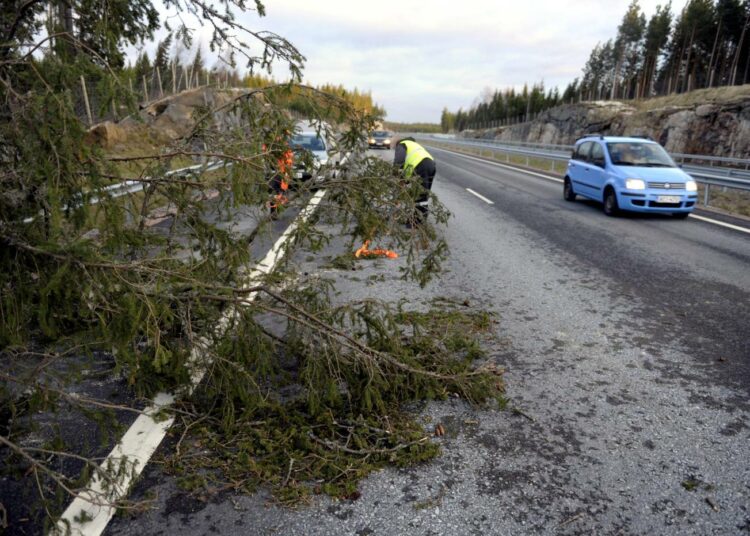 Tapaninpäivän myrsky kaatoi puita muun muassa Turku-Helsinki -moottoritielle.