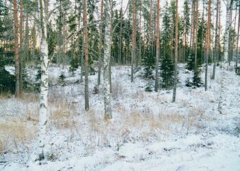 Jos viranomaisten valitusoikeus kaavoista vähenisi tai loppuisi kokonaan, siirtyisi kaavoituksen valvonta yhä enemmän asukkaiden ja vapaaehtoisten järjestöjen vastuulle.